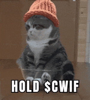 CatWifHat $CWIF - Solana Memecoin CatWifHat $CWIF - Solana Memecoin