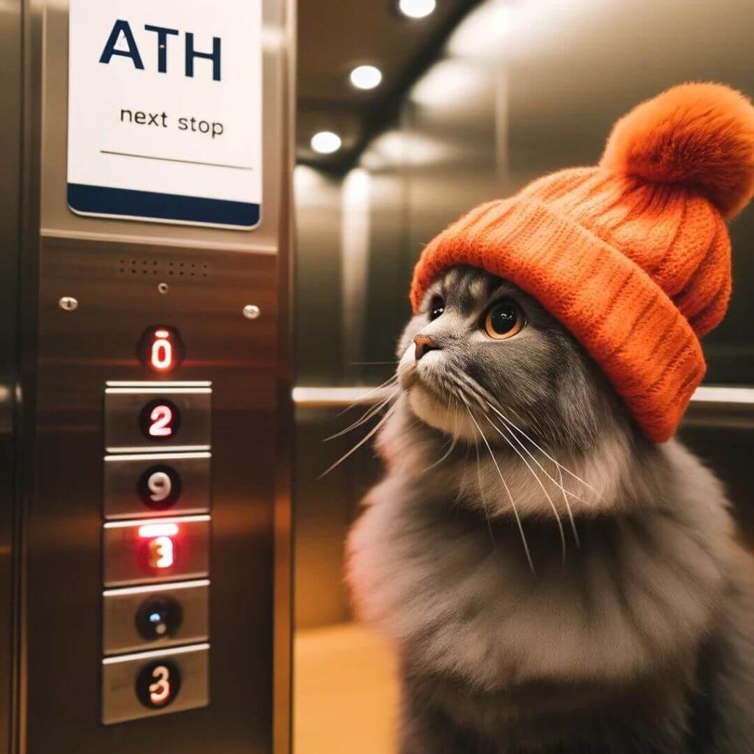CatWifHat $CWIF - Solana Memecoin CatWifHat $CWIF - Solana Memecoin