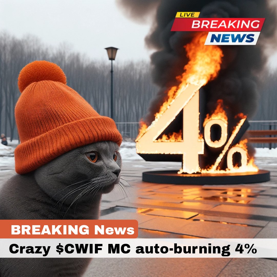 About Catwifhat — The Deflationary Solana Memecoin