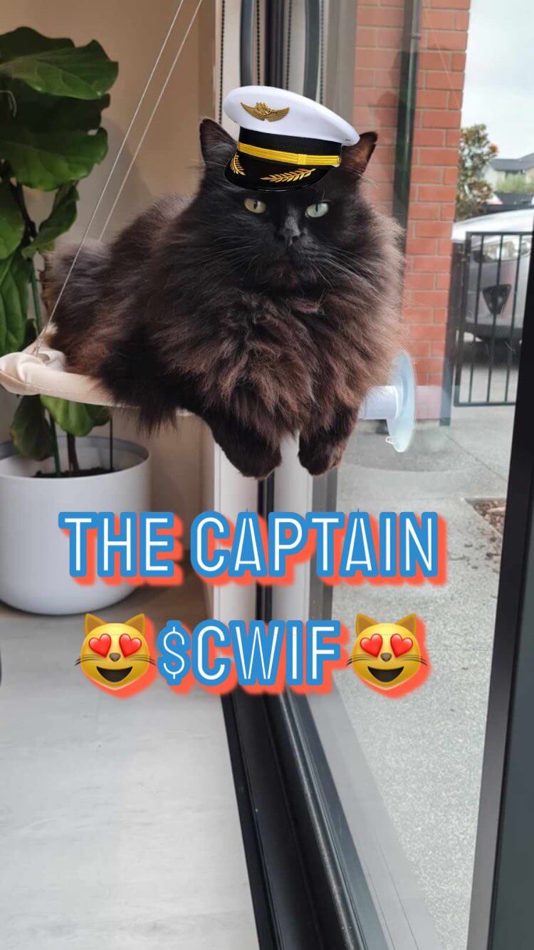 CatWifHat $CWIF - Solana Memecoin CatWifHat $CWIF - Solana Memecoin