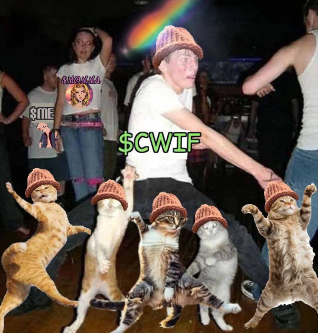 CatWifHat $CWIF - Solana Memecoin CatWifHat $CWIF - Solana Memecoin