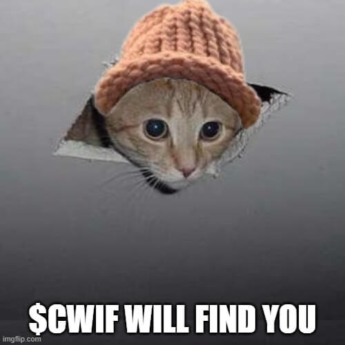 CatWifHat $CWIF - Solana Memecoin CatWifHat $CWIF - Solana Memecoin
