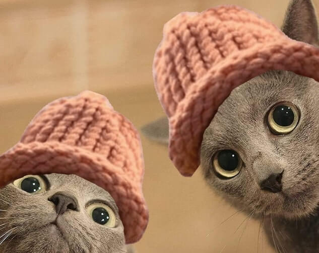 CatWifHat $CWIF - Solana Memecoin CatWifHat $CWIF - Solana Memecoin