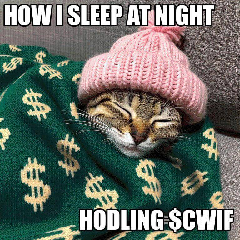 CatWifHat $CWIF - Solana Memecoin CatWifHat $CWIF - Solana Memecoin