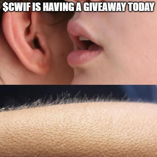 CatWifHat $CWIF - Solana Memecoin CatWifHat $CWIF - Solana Memecoin