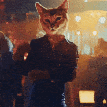 CatWifHat $CWIF - Solana Memecoin CatWifHat $CWIF - Solana Memecoin