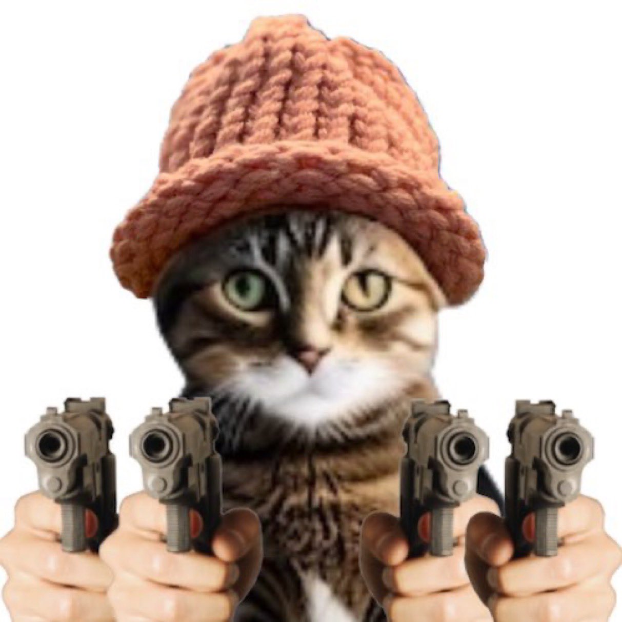 CatWifHat $CWIF - Solana Memecoin CatWifHat $CWIF - Solana Memecoin