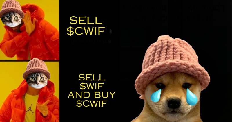 CatWifHat $CWIF - Solana Memecoin CatWifHat $CWIF - Solana Memecoin