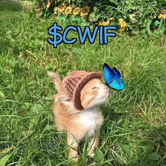 CatWifHat $CWIF - Solana Memecoin CatWifHat $CWIF - Solana Memecoin
