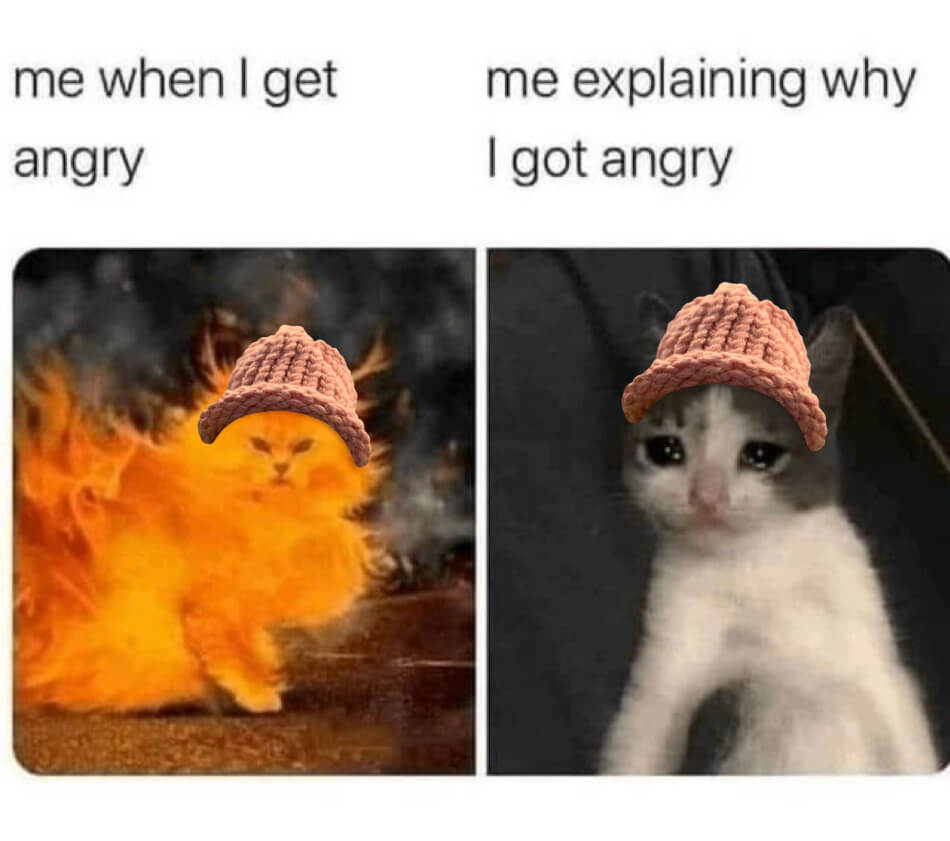 CatWifHat $CWIF - Solana Memecoin CatWifHat $CWIF - Solana Memecoin