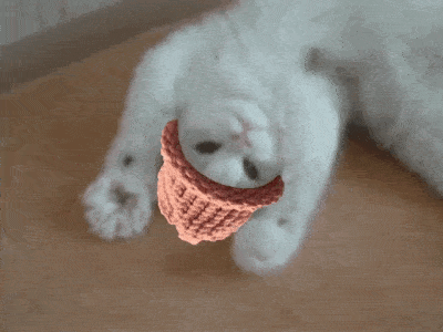 CatWifHat $CWIF - Solana Memecoin CatWifHat $CWIF - Solana Memecoin