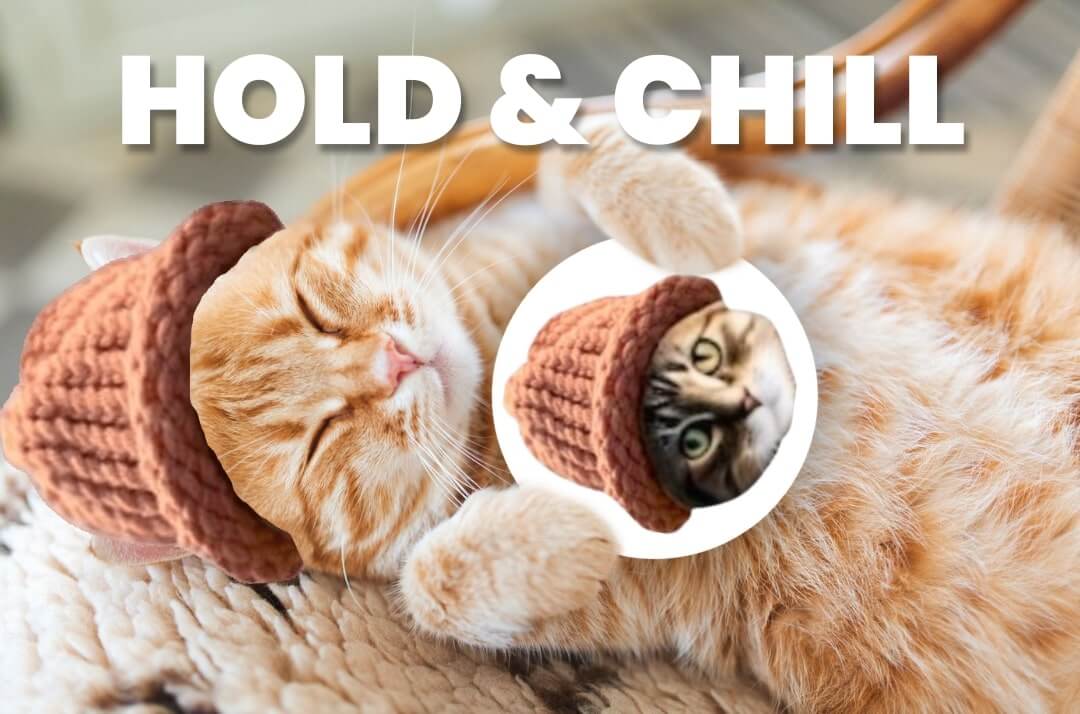 CatWifHat $CWIF - Solana Memecoin CatWifHat $CWIF - Solana Memecoin