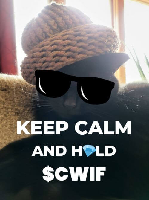 CatWifHat $CWIF - Solana Memecoin