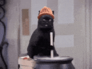 CatWifHat $CWIF - Solana Memecoin CatWifHat $CWIF - Solana Memecoin