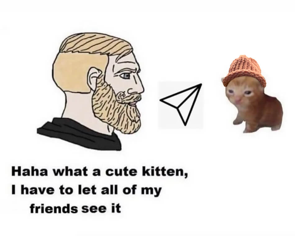 CatWifHat $CWIF - Solana Memecoin CatWifHat $CWIF - Solana Memecoin