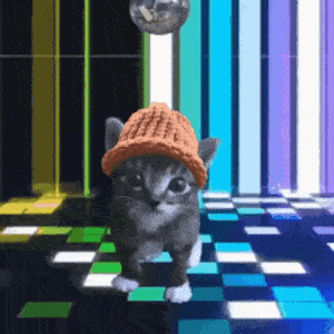 CatWifHat $CWIF - Solana Memecoin CatWifHat $CWIF - Solana Memecoin