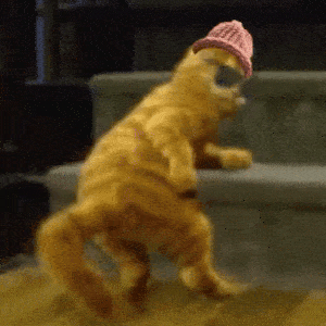 About Catwifhat — The Deflationary Solana Memecoin