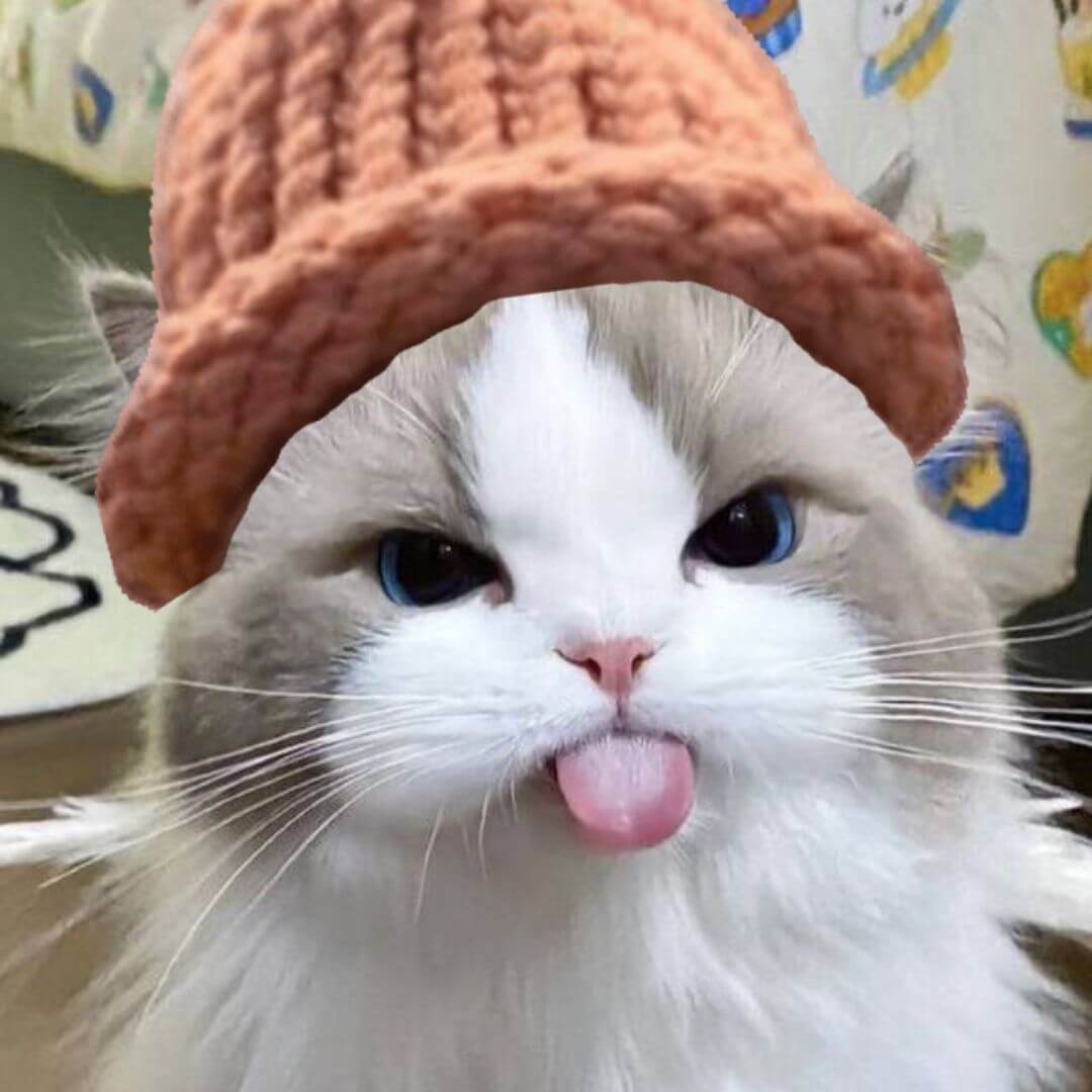 CatWifHat $CWIF - Solana Memecoin CatWifHat $CWIF - Solana Memecoin