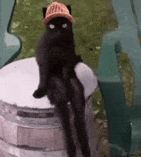 CatWifHat $CWIF - Solana Memecoin CatWifHat $CWIF - Solana Memecoin