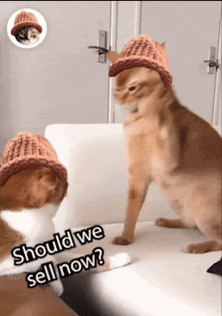 CatWifHat $CWIF - Solana Memecoin CatWifHat $CWIF - Solana Memecoin