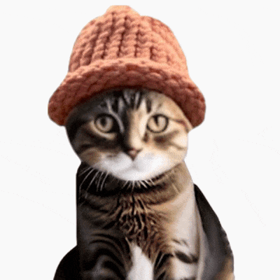 CatWifHat $CWIF - Solana Memecoin CatWifHat $CWIF - Solana Memecoin