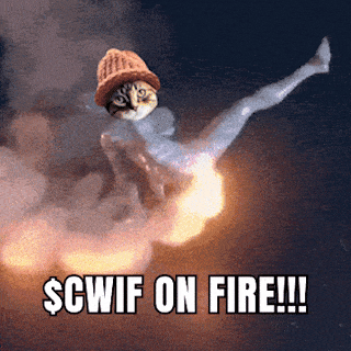 CatWifHat $CWIF - Solana Memecoin CatWifHat $CWIF - Solana Memecoin