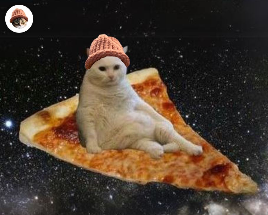CatWifHat $CWIF - Solana Memecoin