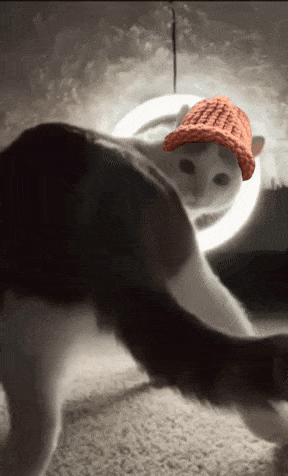 CatWifHat $CWIF - Solana Memecoin CatWifHat $CWIF - Solana Memecoin