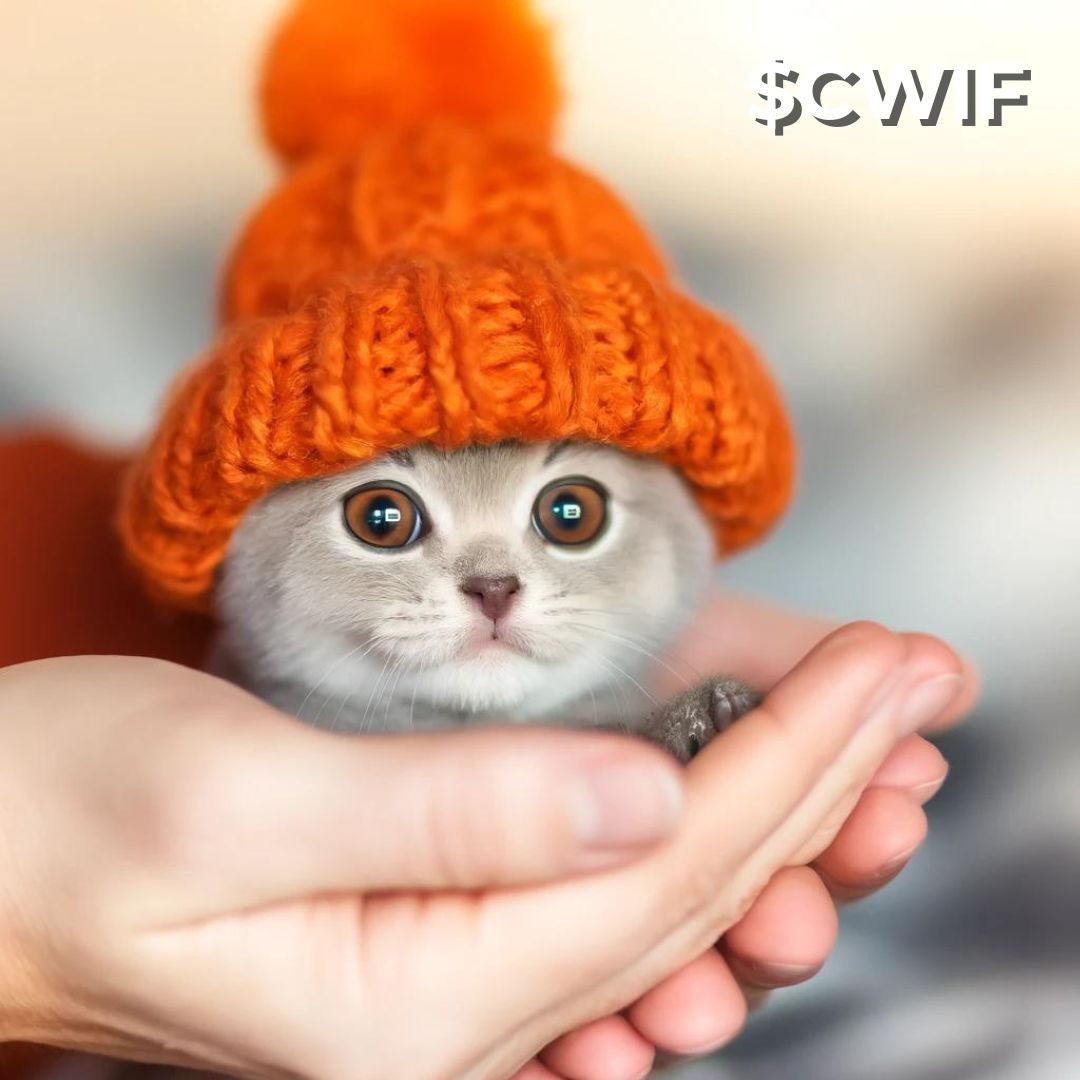 CatWifHat $CWIF - Solana Memecoin CatWifHat $CWIF - Solana Memecoin