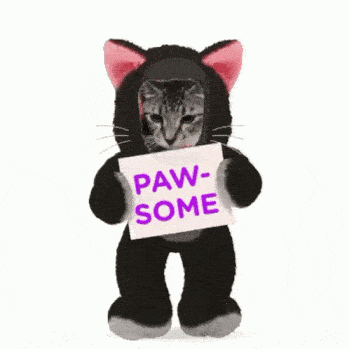 CatWifHat $CWIF - Solana Memecoin CatWifHat $CWIF - Solana Memecoin