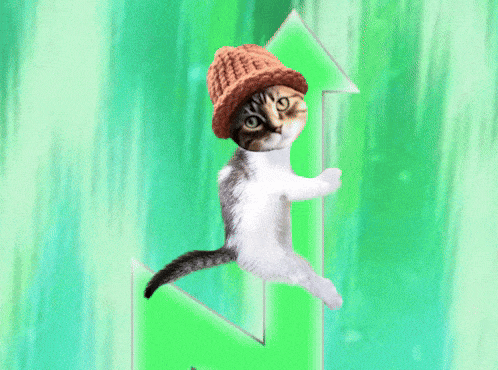CatWifHat $CWIF - Solana Memecoin CatWifHat $CWIF - Solana Memecoin