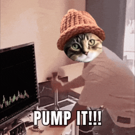 CatWifHat $CWIF - Solana Memecoin CatWifHat $CWIF - Solana Memecoin