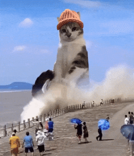 CatWifHat $CWIF - Solana Memecoin CatWifHat $CWIF - Solana Memecoin