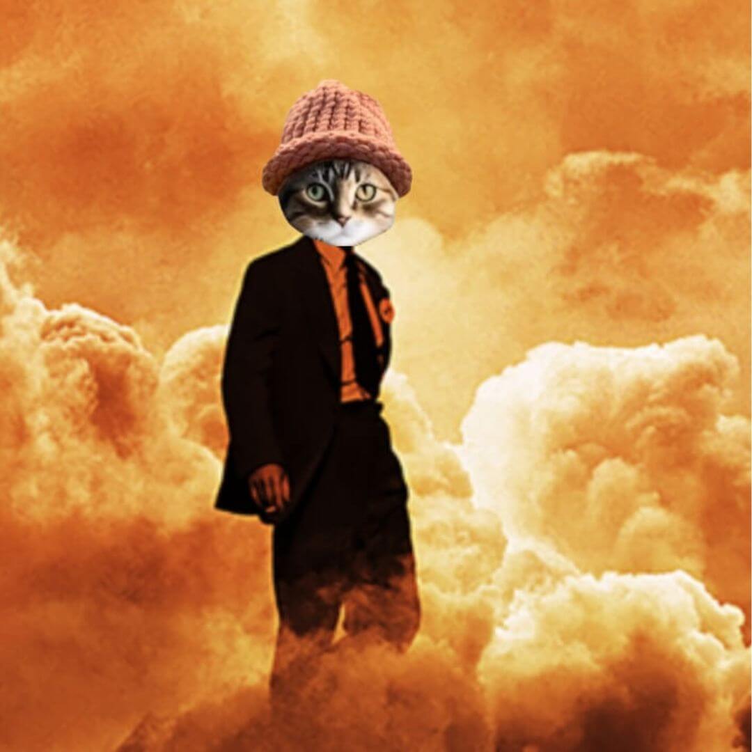 CatWifHat $CWIF - Solana Memecoin CatWifHat $CWIF - Solana Memecoin