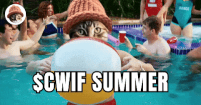 CatWifHat $CWIF - Solana Memecoin CatWifHat $CWIF - Solana Memecoin